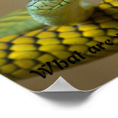 Schlange Poster (Ecke)