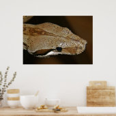 Schlange Poster (Küche)