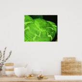 Schlange Poster (Küche)