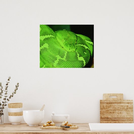 Schlange Poster (Küche)