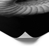 Schlange Poster (Ecke)