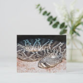 Schlange Postkarte (Stehend Vorderseite)