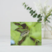 Schlange Postkarte (Stehend Vorderseite)