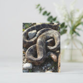 Schlange Postkarte (Stehend Vorderseite)