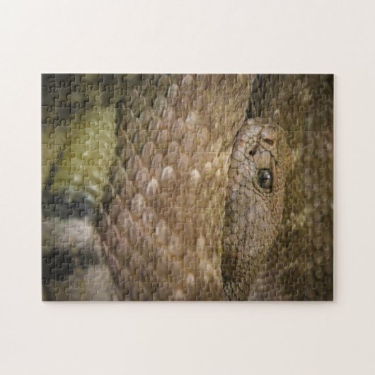 Schlange Puzzle (Horizontal)