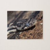 Schlange Puzzle (Horizontal)