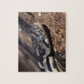 Schlange Puzzle (Vertikal)