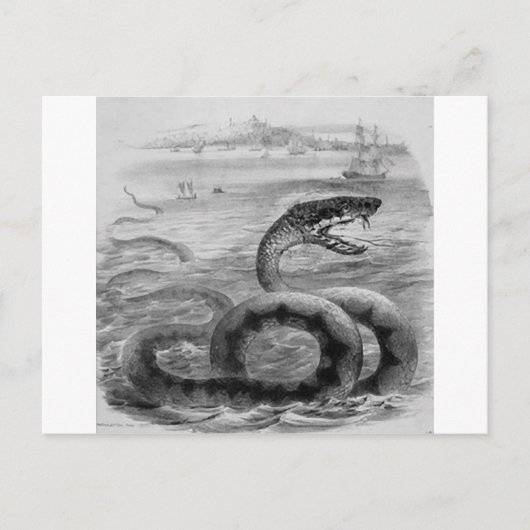 Schlange/Schlange Postkarte (Vorderseite)