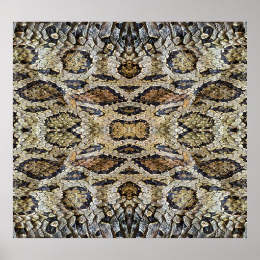 Schlange Skin Muster Textur Poster (Vorne)