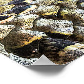 Schlange Skin Muster Textur Poster (Ecke)