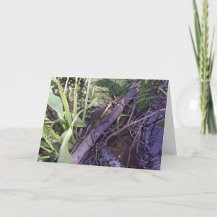 Schlange Sonnenbad Custom Swamp Bayou Grußkarte Karte