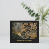 Schlange Sprichwort Ssalutationen Postkarte (Stehend Vorderseite)