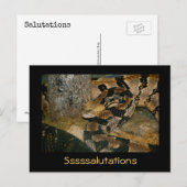 Schlange Sprichwort Ssalutationen Postkarte (Vorne/Hinten)