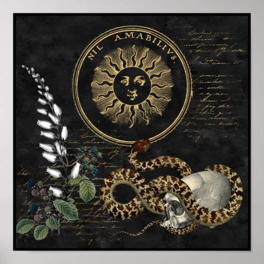 Schlange und Berries Poster (Vorne)