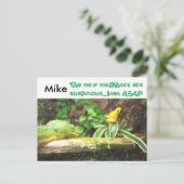 Schlange und Frosch witzige neue Adresskarten Ankündigungspostkarte (Stehend Vorderseite)