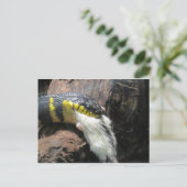 Schlange und Maus Postkarte (Stehend Vorderseite)