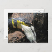 Schlange und Maus Postkarte (Vorne/Hinten)