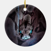 Schlange Weihnachtsschmuck Schlange Ornament (Hinten)