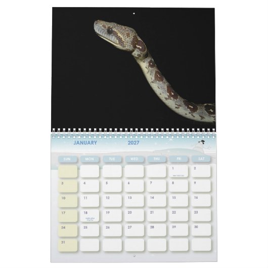 Schlangen 16 Monate Kalender (Jan 2027)