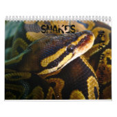 Schlangen 16 Monate Kalender (Titelbild)