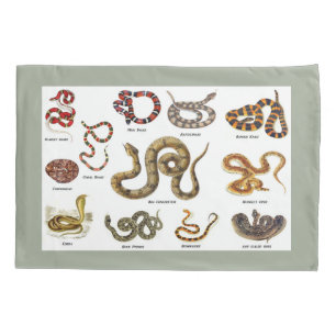 Schlangen-Identifizierungs-Kissen-Kasten Kissenbezug