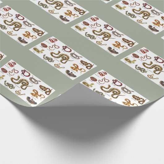 Schlangen-Identifizierungs-Packpapier Geschenkpapier (Ecke)