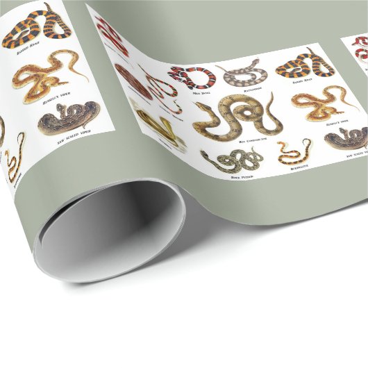 Schlangen-Identifizierungs-Packpapier Geschenkpapier (Rolleneckpunkt)