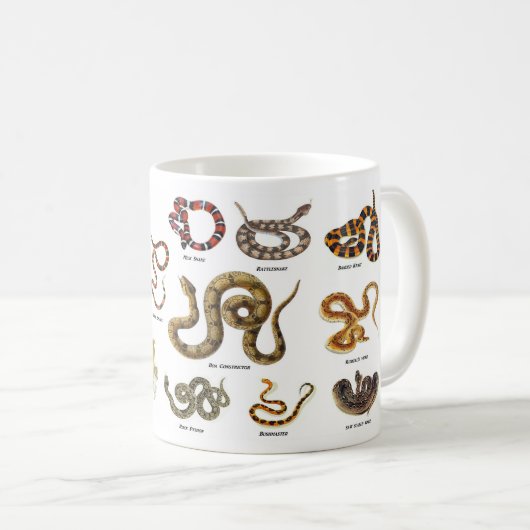 Schlangen-Identifizierungs-Tasse Kaffeetasse (VorderseiteRechts)