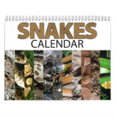 Schlangen-Kalender Kalender (Titelbild)