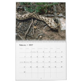 Schlangen-Kalender Kalender (Feb 2027)