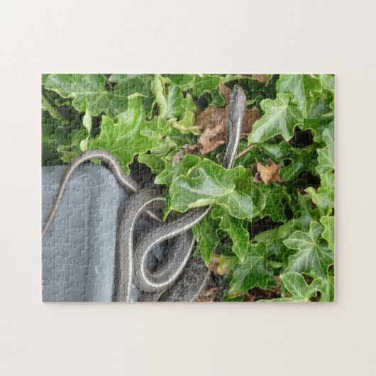 Schlangen lebendig! Es ist eine Puzzle (Horizontal)