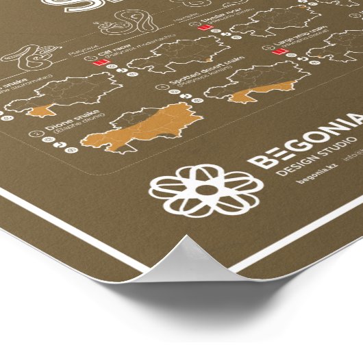 Schlangen-Poster aus Kasachstan Poster (Ecke)