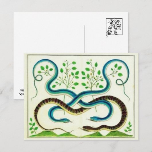 Schlangen Postkarte (Vorne/Hinten)