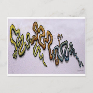Schlangen Postkarte