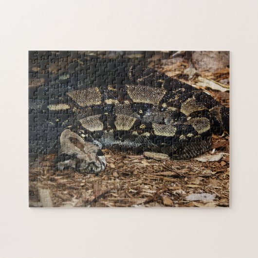 Schlangen-Puzzlespiel Puzzle (Horizontal)