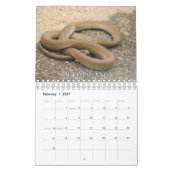 Schlangen-Sammlung Wall Calendar Kalender (Feb 2027)