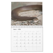 Schlangen-Sammlung Wall Calendar Kalender (Mär 2026)