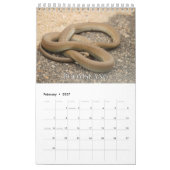 Schlangen-Sammlung Wall Calendar Kalender (Feb 2027)