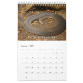 Schlangen-Sammlung Wall Calendar Kalender (Jan 2027)