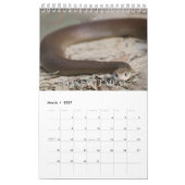 Schlangen-Sammlung Wall Calendar Kalender (Mär 2027)
