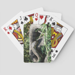Schlangen-Spielkarten Spielkarten