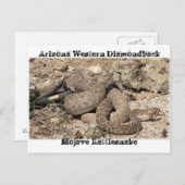 Schlangen von Arizona Postkarte (Vorne/Hinten)