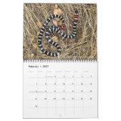 Schlangen Wandkalender von J. Fatherree (Feb 2027)