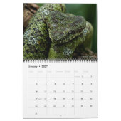 Schlangen Wandkalender von J. Fatherree (Jan 2027)