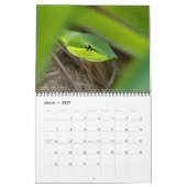 Schlangen Wandkalender von J. Fatherree (Mär 2027)