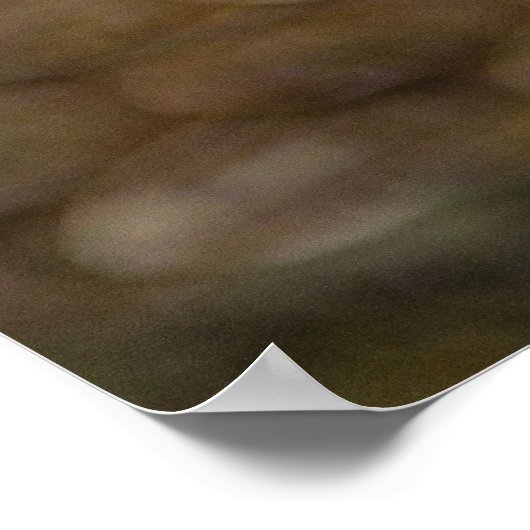 Schlangenauge Poster (Ecke)