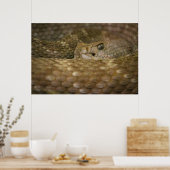 Schlangenauge Poster (Küche)