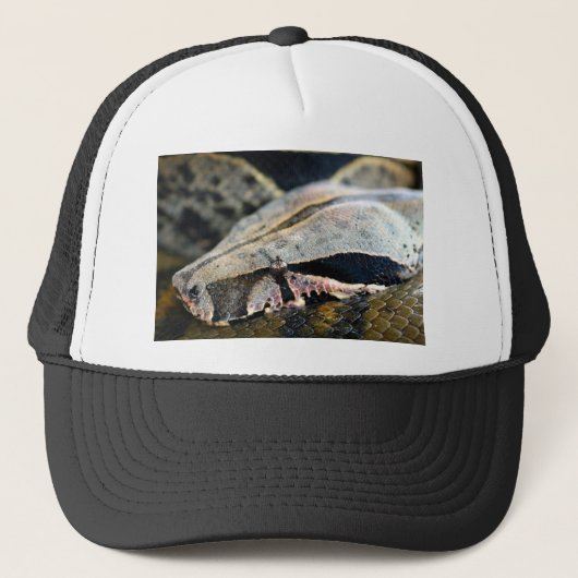 Schlangenaugen Truckerkappe (Vorderseite)