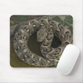 Schlangenbeschwörers Afrikanische Puffotter Bitis Mousepad (Mit Mouse)