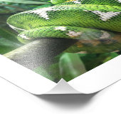 Schlangenbild Fotodruck (Ecke)